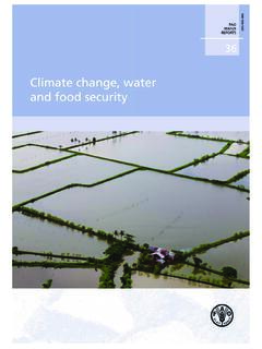 Cover picture: Irrawaddy Delta, Myanmar - September 2008
