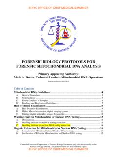 Protocols for Forensic Mitochondrial DNA Analysis …
