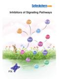 Inhibitors of Signaling Pathways - Selleckchem.com