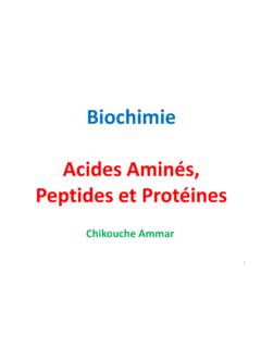 Biochimie Acides Amin&#233;s, Peptides et Prot&#233;ines