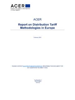 ACER Report on Distribution Tariff Methodologies in Europe
