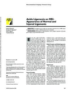 Ankle Ligaments on MRI: Appearance of Normal …