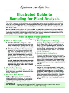 Illustrated Guide to Sampling for Plant Analysis