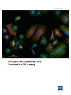 Principles of Fluorescence and Fluorescence Microscopy