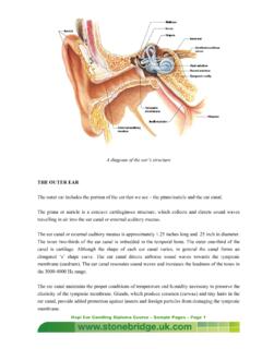 A diagram of the ear’s structure - stonebridge.uk.com
