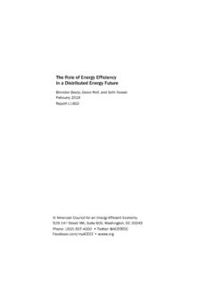 The Role of Energy Efficiency in a Distributed Energy Future