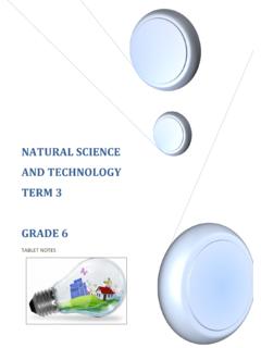 NATURAL SCIENCE AND TECHNOLOGY TERM 3 GRADE 6