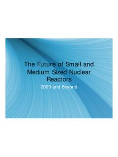 The Future of Small and Medium Sized Nuclear Reactors