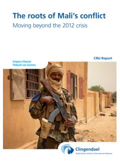 The roots of Mali’s conflict - Netherlands Institute of ...