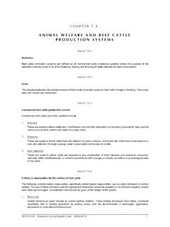 ANIMAL WELFARE AND BEEF CATTLE PRODUCTION SYSTEMS