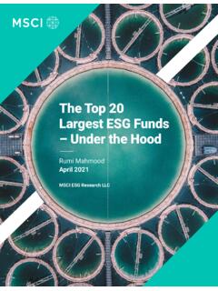 Top 20 Largest ESG Funds - Under the Hood - Apr 2021