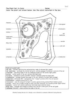 Ce-2 The Plant Cell to Color Name: Color the plant cell ...