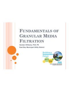 Fundamentals of Granular Media Filtration