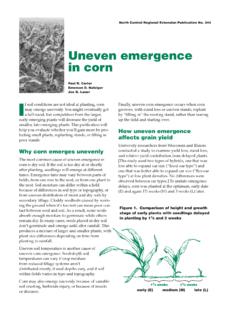 Uneven Emergence in Corn (NCR344)
