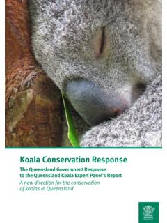 Koala Conservation Response - environment.des.qld.gov.au