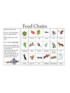 food chain. - Primary Resources