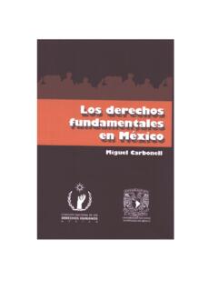LOS DERECHOS FUNDAMENTALES EN M&#201;XICO - UNAM