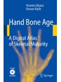 V. Gilsanz/O. Ratib &#183; Hand Bone Age