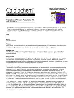 ProteoExtract Protein Precipitation Kit Cat. No. 539180