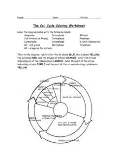 The Cell Cycle Coloring Worksheet - WPMU DEV