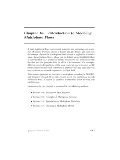 Chapter 18. Introduction to Modeling Multiphase …