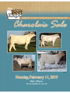 55th Charolais Sale