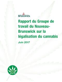 Rapport du Groupe de travail du Nouveau- Brunswick sur la ...