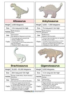 Dinosaur Fact Cards - teachingideas.co.uk
