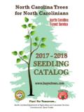 North Carolina Tree Seedling Catalog - N.C. Forest Service