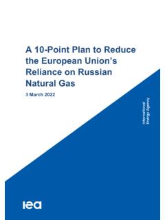 A 10-Point Plan to Reduce the European Union’s Reliance on ...