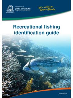 Recreational fishing identification guide