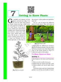 Getting to Know Plants G - NCERT