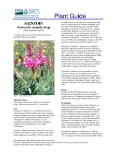 SAINFOIN Plant Guide - NRCS