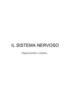 IL SISTEMA NERVOSO - carducci-ts.it