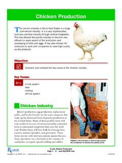 Chicken Production - carlisle.k12.ky.us