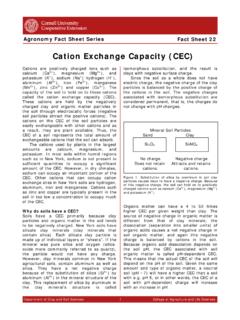 Cation Exchange Capacity (CEC) - Cornell University