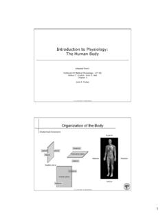 Introduction to Physiology: The Human Body