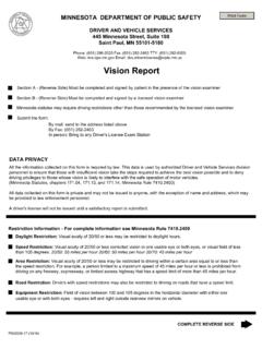 Vision Report - Minnesota Department of Public Safety