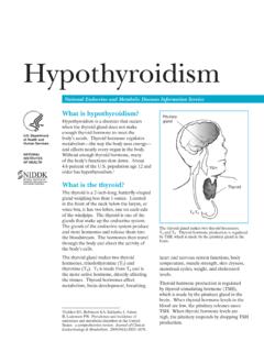 Hypothyroidism - National Institute of Diabetes and ...
