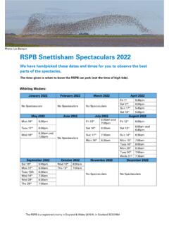 Photo: Les Bunyan RSPB Snettisham Spectaculars 2022