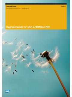 Upgrade Guide for SAP S/4HANA 1709