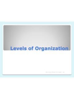 Levels of Organization - Houston Independent …