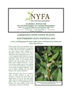 GARDENING WITH NATIVE PLANTS: WINTERBERRY (ILEX …
