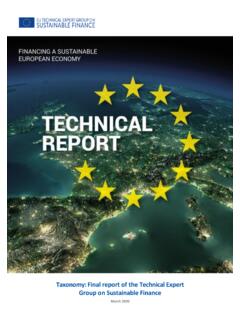 Taxonomy: Final report of the Technical Expert Group on ...
