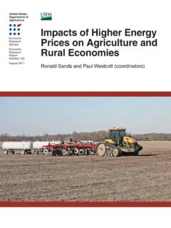 Impacts of Higher Energy Prices on Agriculture and ... - USDA