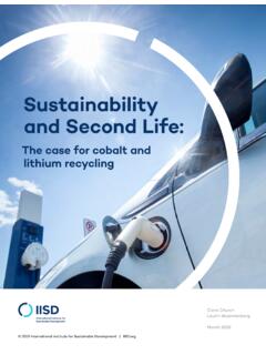 Sustainability: Second Life Cobalt Lithium Recycling