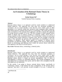 An Evaluation of the Rational Choice Theory in Criminology