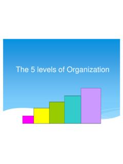 The 5 levels of Organization - CPT HAMILTON'S 7TH GRADE …