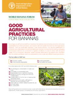 Good Agricultural Practices for Bananas