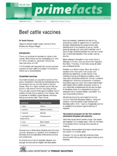 Beef cattle vaccines - Department of Primary Industries